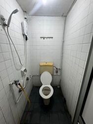 Lorong 15 Geylang (D14), Shop House #534266401